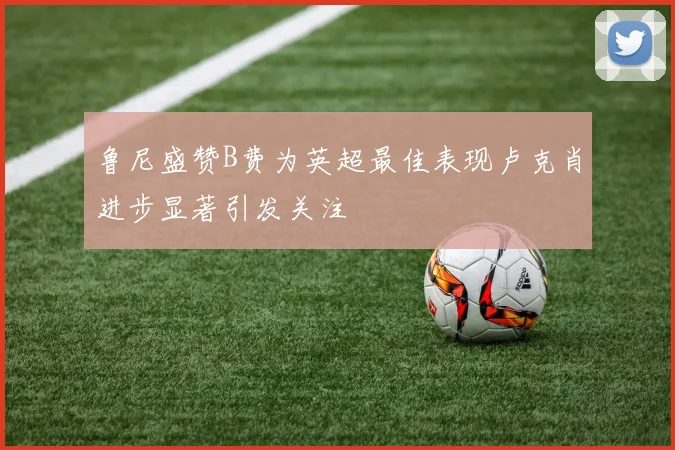 鲁尼盛赞B费为英超最佳表现卢克肖进步显著引发关注