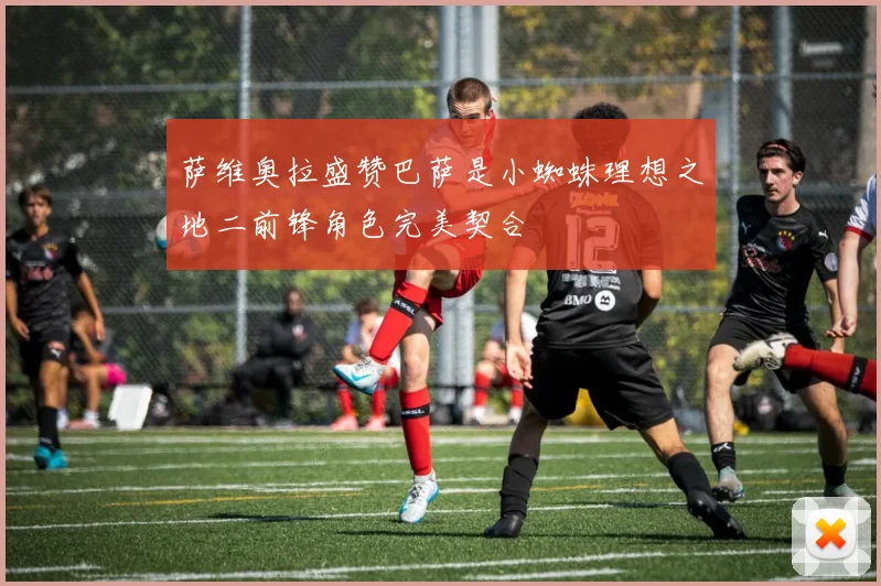 萨维奥拉盛赞巴萨是小蜘蛛理想之地二前锋角色完美契合