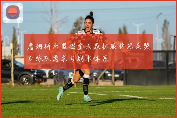 詹姆斯加盟掘金或森林狼将完美契合球队需求与战术体系
