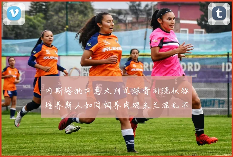 内斯塔批评意大利足球青训现状称培养新人如同饲养肉鸡米兰混乱不堪