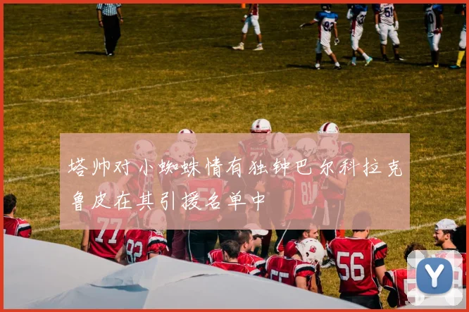 塔帅对小蜘蛛情有独钟巴尔科拉克鲁皮在其引援名单中
